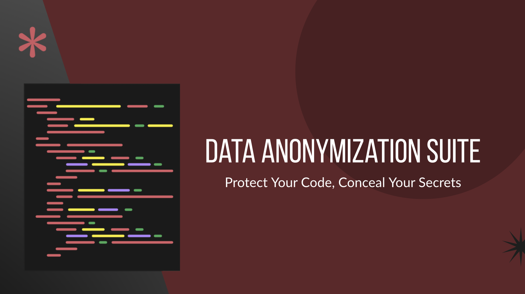 Data Anonymizer Graphic